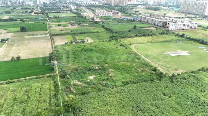 Forteasia Kingstreet