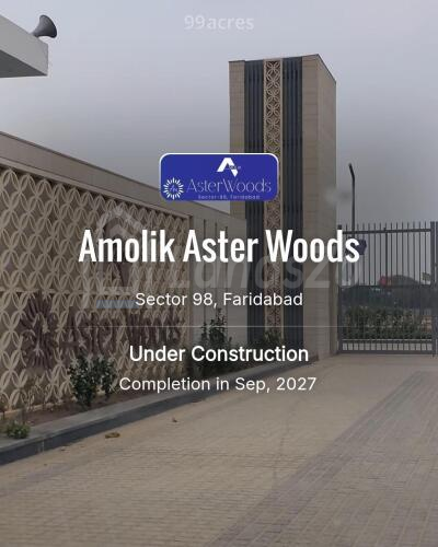 Amolik Aster Woods